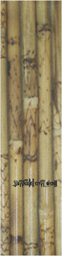 Design 234196 Skateboards, Longboards and Grip Tape