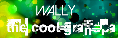 Wally Skateboards, Longboards and Grip Tape Image