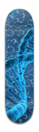 Life 2.0 Skateboards, Longboards and Grip Tape Image