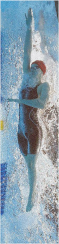 Design 242583 Skateboards, Longboards and Grip Tape