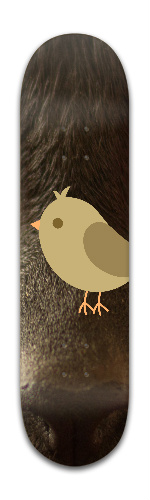 Design 242743 Skateboards, Longboards and Grip Tape