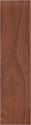Design 244703 Skateboards, Longboards and Grip Tape