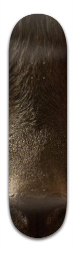 Design 244943 Skateboards, Longboards and Grip Tape