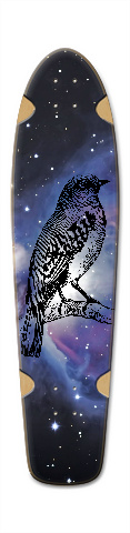 Design 246321 Skateboards, Longboards and Grip Tape
