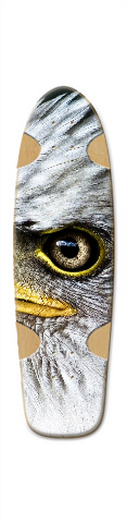 Design 237974 Skateboards, Longboards and Grip Tape Image