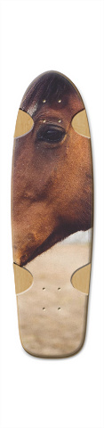 Design 237975 Skateboards, Longboards and Grip Tape Image
