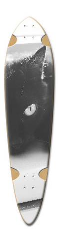 Design 240238 Skateboards, Longboards and Grip Tape