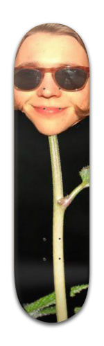 Design 258661 Skateboards, Longboards and Grip Tape Image