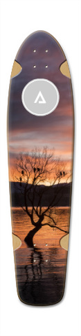 Design 259582 Skateboards, Longboards and Grip Tape