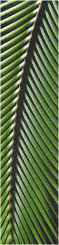 Design 260745