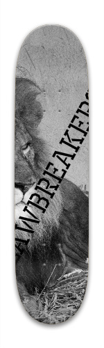 Design 260589 Skateboards, Longboards and Grip Tape Image