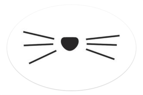 The cat whiskers come from within Skateboards, Longboards and Grip Tape Image