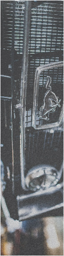 Design 253569 Skateboards, Longboards and Grip Tape Image