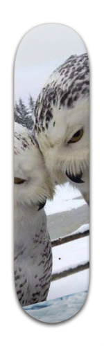 Nature Skateboards, Longboards and Grip Tape Image