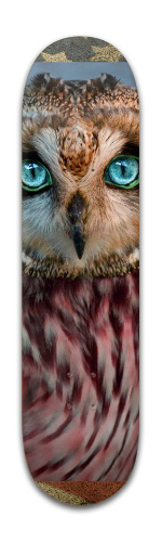 Design 267363 Skateboards, Longboards and Grip Tape