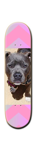 Design 254627 Skateboards, Longboards and Grip Tape