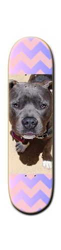 Design 257022 Skateboards, Longboards and Grip Tape Image