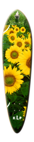 Design 256838 Skateboards, Longboards and Grip Tape Image