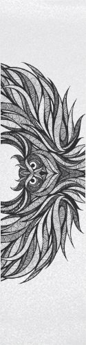 Design 257102 Skateboards, Longboards and Grip Tape