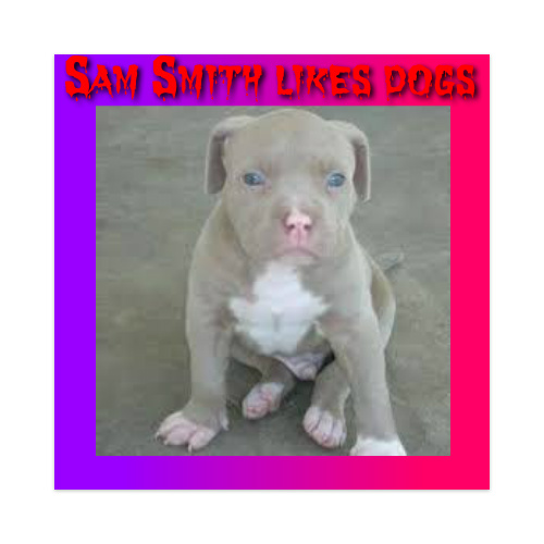 sam love pitbulls