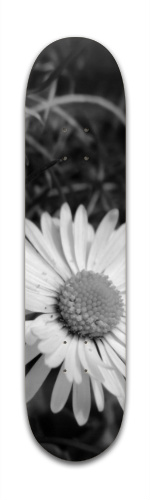 Design 158999 Skateboards, Longboards and Grip Tape Image