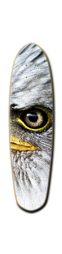Design 159159 Skateboards, Longboards and Grip Tape