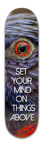 Design 159320 Skateboards, Longboards and Grip Tape
