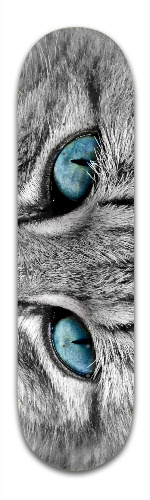 Design 155032 Skateboards, Longboards and Grip Tape