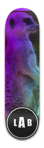 Design 161496 Skateboards, Longboards and Grip Tape