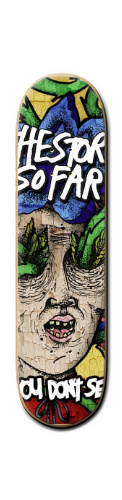 The Skate So Far