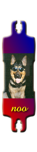 cool dog