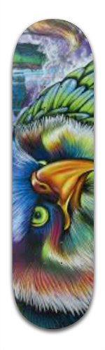 Design 156961 Skateboards, Longboards and Grip Tape