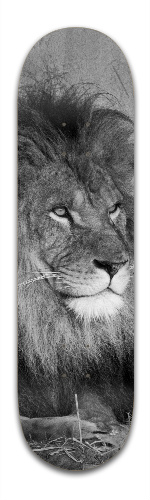 Design 165399 Skateboards, Longboards and Grip Tape