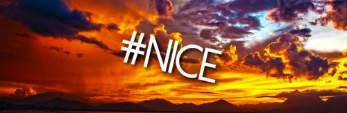 Design 165975 Skateboards, Longboards and Grip Tape Image