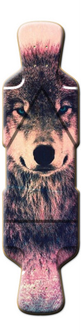 Design 165843 Skateboards, Longboards and Grip Tape