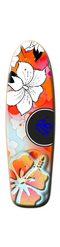 brycens board Skateboards, Longboards and Grip Tape Image