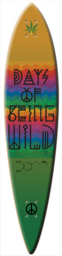 Design 167357