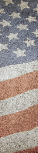 Design 167502