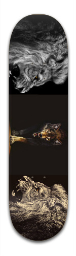 Animals