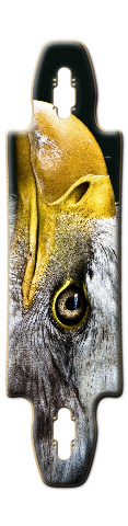 Design 169227 Skateboards, Longboards and Grip Tape Image