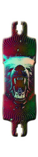 BEAR HYPNO