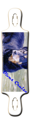 Design 171313 Skateboards, Longboards and Grip Tape