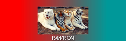 rawr on Skateboards, Longboards and Grip Tape Image