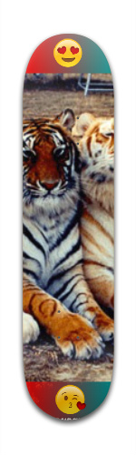 Design 163978 Skateboards, Longboards and Grip Tape Image