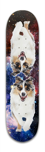 Design 164490 Skateboards, Longboards and Grip Tape