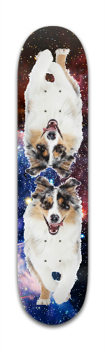 Design 164487 Skateboards, Longboards and Grip Tape