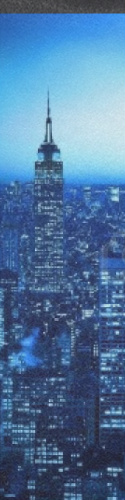 the city