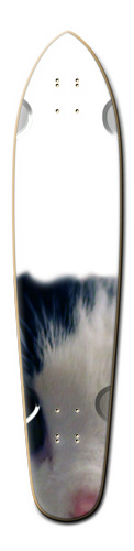Design 175067 Skateboards, Longboards and Grip Tape