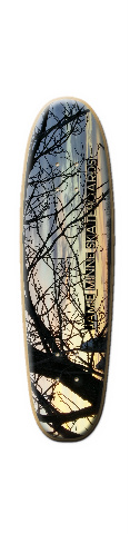 jamie minne skateboards