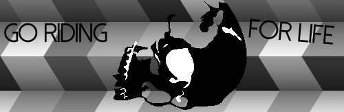 Design 177711